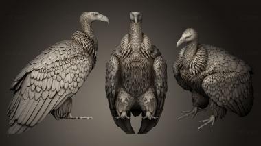 3D model vulture 3 (STL)